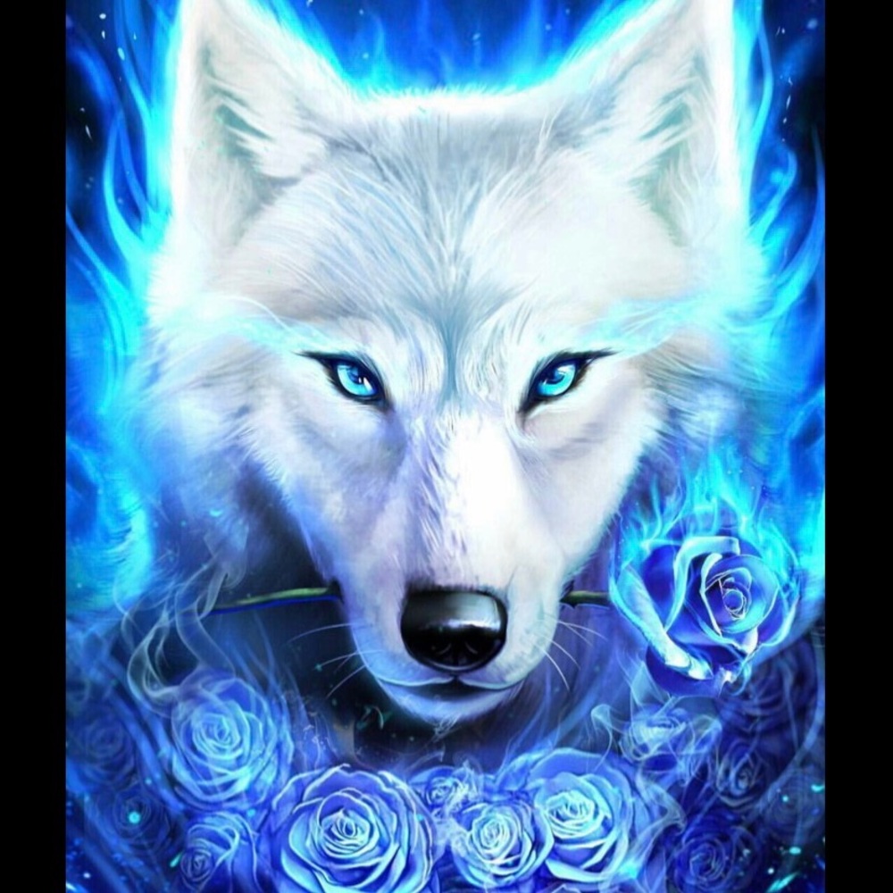 Meet your Posher, Deonna